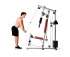 Силовой комплекс DFC HomeGym D7001-60 / стек 60 кг Силовой комплекс DFC HomeGym D7001-60 / стек 60 кг
