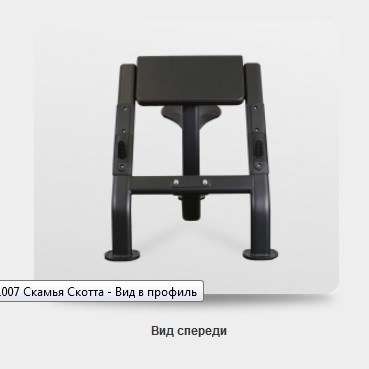 Скамья Скотта BRONZE GYM BR-1007