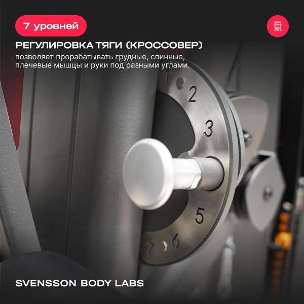 Силовой комплекс Svensson Body Labs RIGEL PRO Силовой комплекс Svensson Body Labs RIGEL PRO
